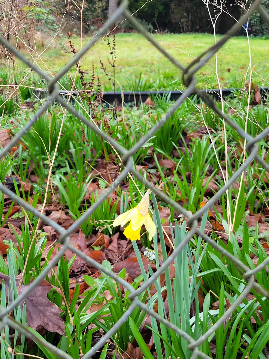 19424 Winesap Road, Bothell, WA 98012 - #3