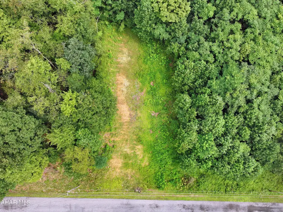 Lot 29 Weaver Woods Road, Saxton, PA 16678 - #2