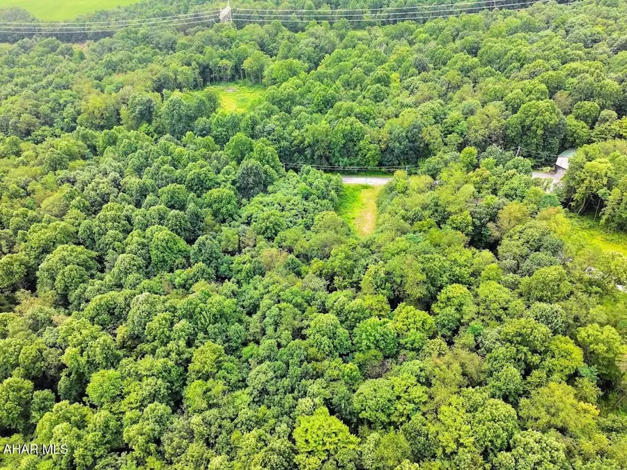 Lot 29 Weaver Woods Road, Saxton, PA 16678 - #3