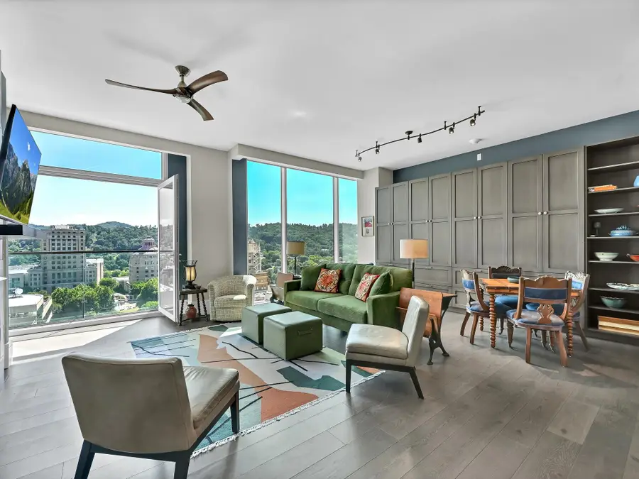 7 Patton Avenue #1103, Asheville, NC 28801 - #3