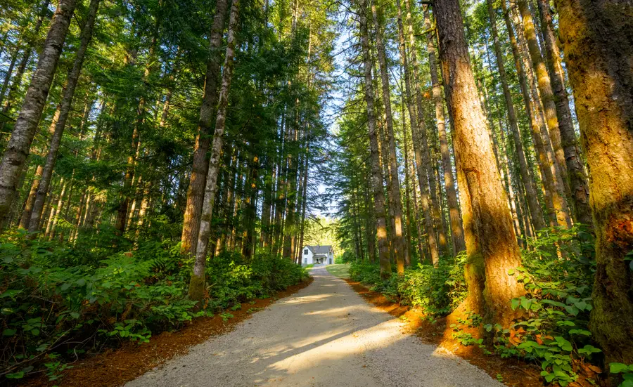 19680 Noll Road, Poulsbo, WA 98370 - Image #2