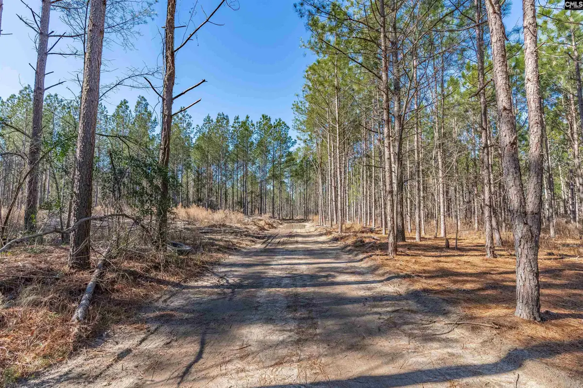 Lot #7 Fairview Road #008200-07-010, Batesburg, SC 29006 - #1