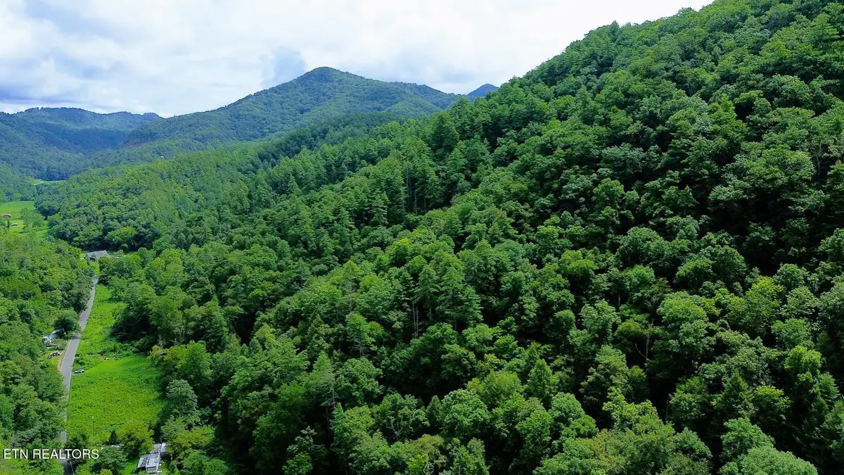 Carrs Creek 14 Acres Rd, Townsend, TN 37882 - Image #1