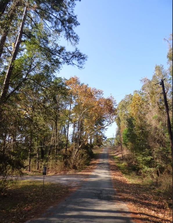 Lot 7 Pinemont Way, Point Blank, TX 77364 BHGRE