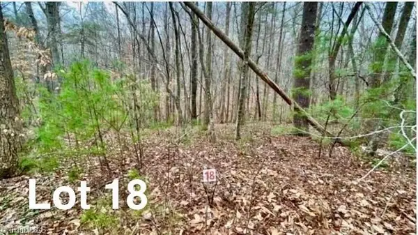 Lot 18 Woods Haven Lane, Stuart, VA 24171