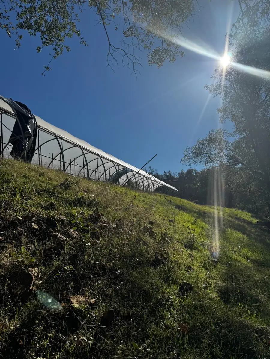 15806 Perimeter Road, Grass Valley, CA 95949 - Image #3