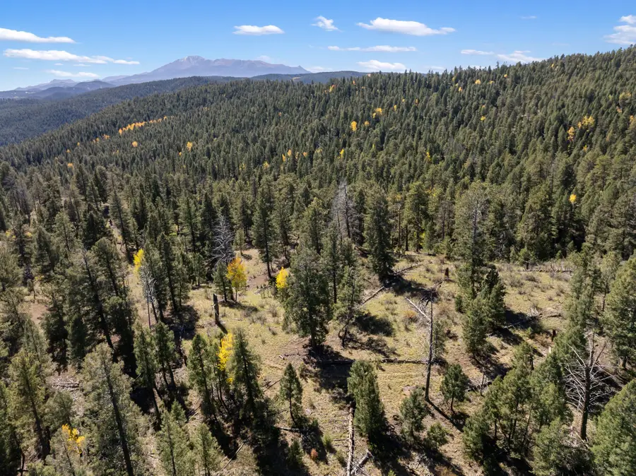 Wickwire Road, Benton Harbor, MI 49022 - Image #3