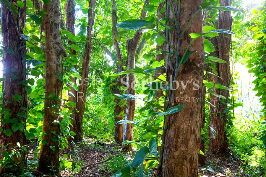 Address Withheld By Seller, Hurricane, UT 84629 - #2