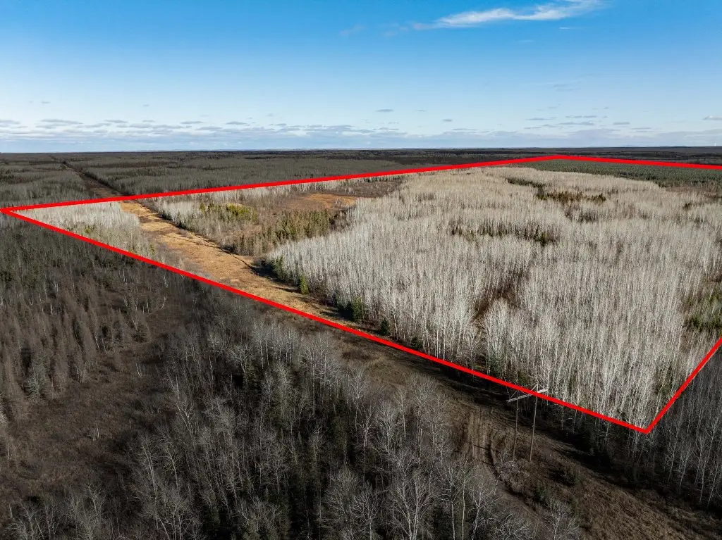 TBD County Rd 60, Grand Rapids, MN 55744 - #1