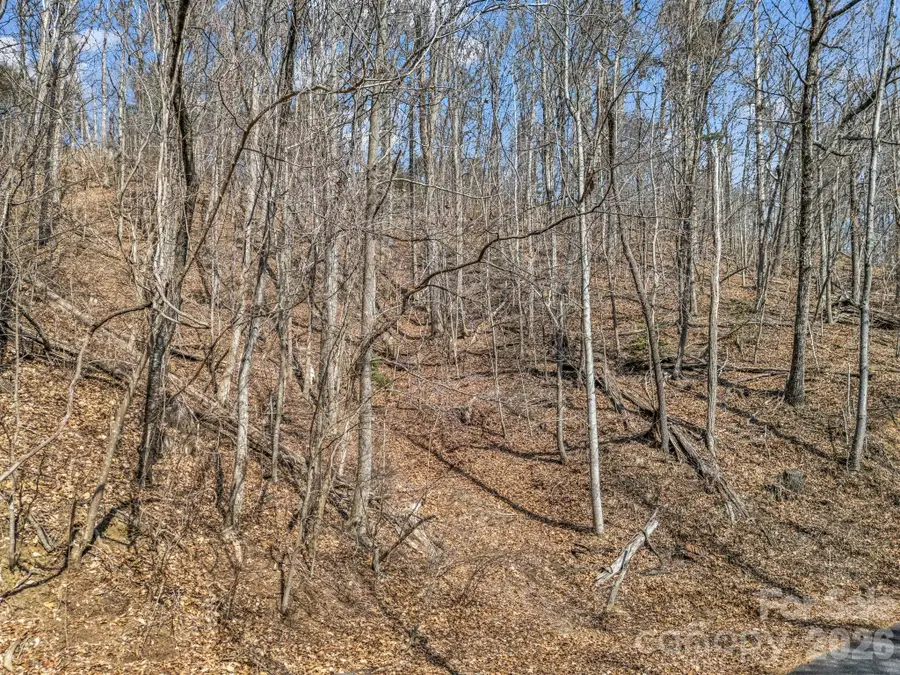 Lot #19 Hemlock Trail #19, Columbus, NC 28722 - #3