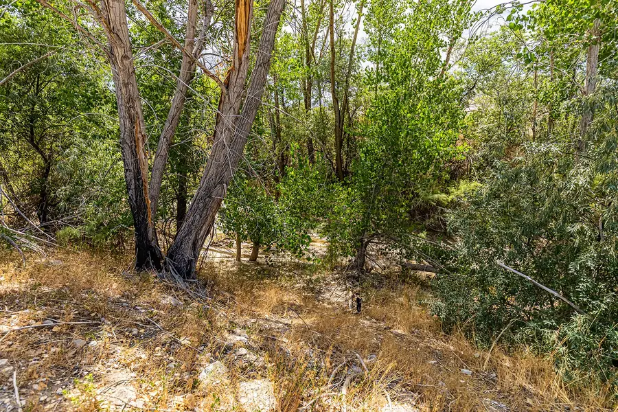 #16, Salina, UT 84654 - #2