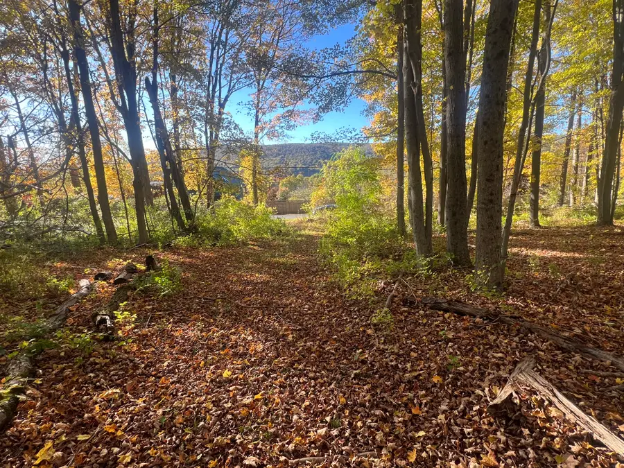 Spooner Hill Road, Kent, CT 06757 - #2