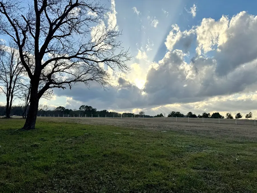 0 Pine Ridge Court, Athens, TX 75752 - #3