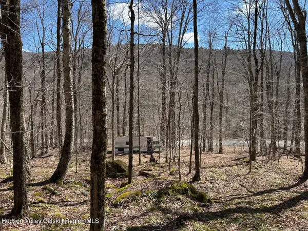 Frrost Valley Road, Claryville, NY 12725