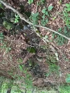 Frrost Valley Road, Claryville, NY 12725 - #3