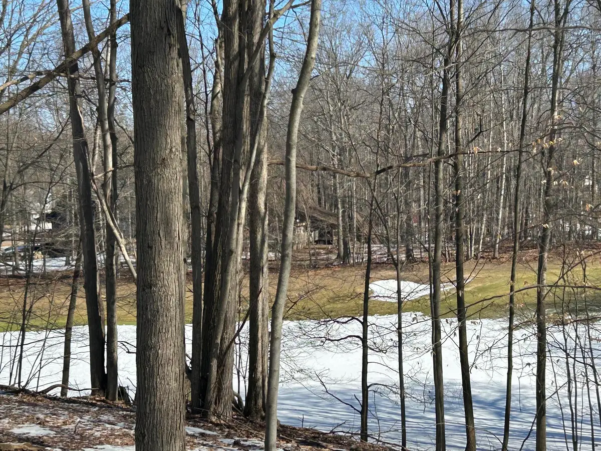 9570 Pere Marquette Drive #10, Canadian Lakes, MI 49346 - #1
