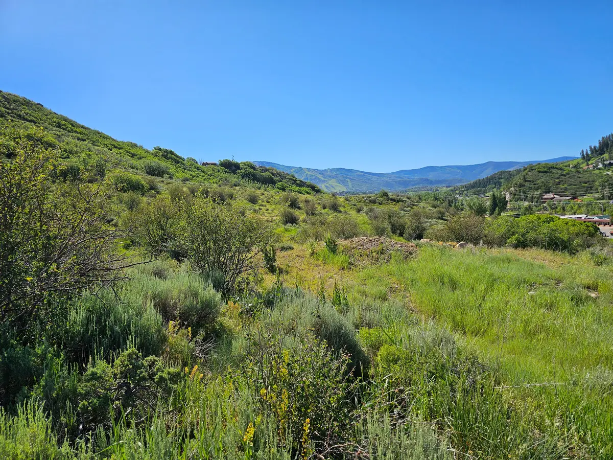 1328 Indian Trail, Steamboat Springs, CO 80487 - #1