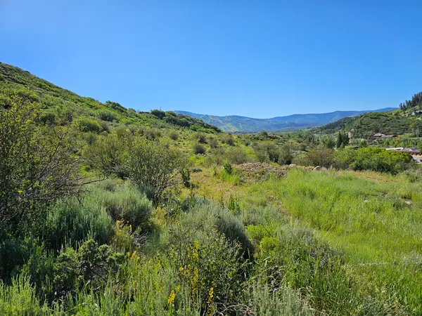 1328 Indian Trail, Steamboat Springs, CO 80487
