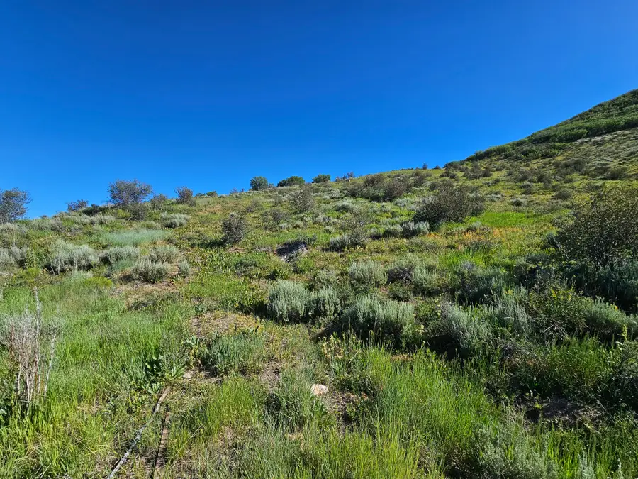 1328 Indian Trail, Steamboat Springs, CO 80487 - #2