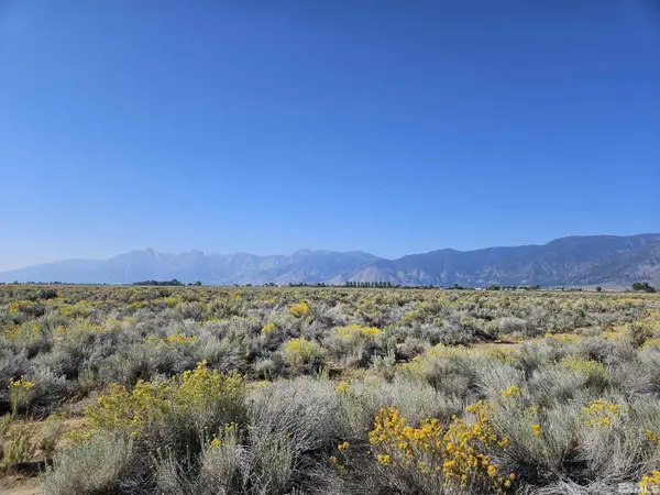1205 Stephanie Way, Minden, NV 89423