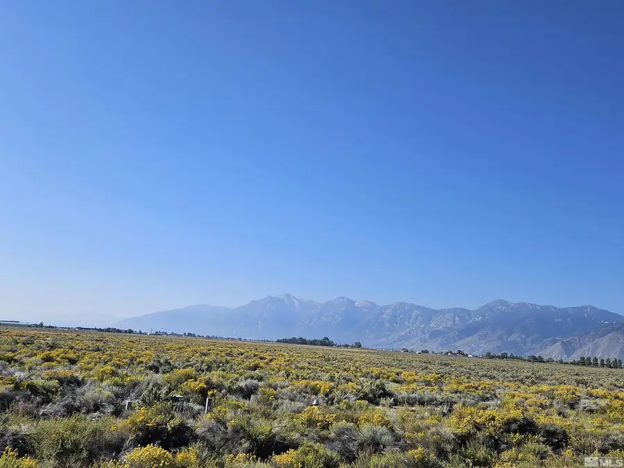 1205 Stephanie Way, Minden, NV 89423 - #2