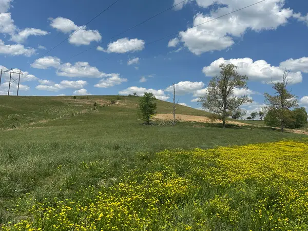 1090 Pittsburg Landing #Tract 30, London, KY 40741