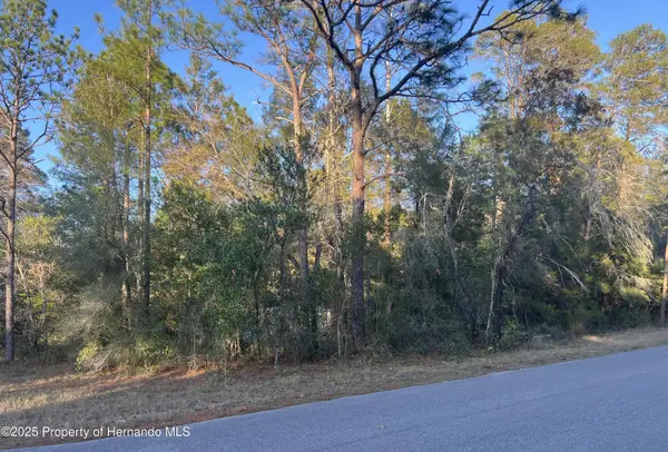 Lot 4+ Blair Avenue, BROOKSVILLE, FL 34604