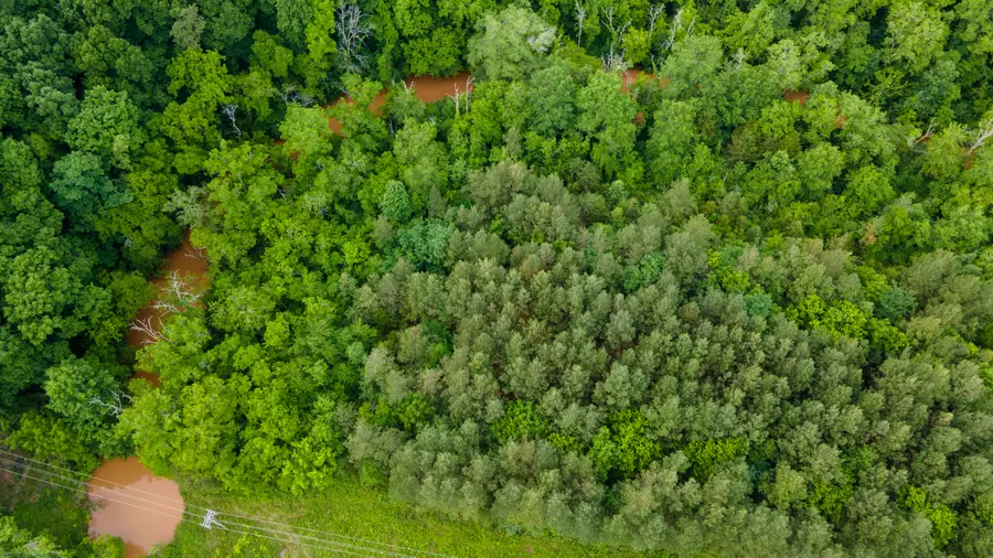 Lot 5 State Highway 163, Calhoun, TN 37309 - Image #3