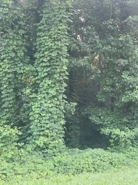 #2