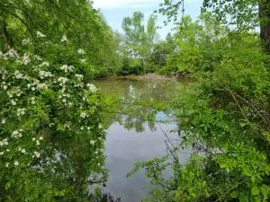 00 Scoggins Lane, Dayton, TN 37321 - Image #3