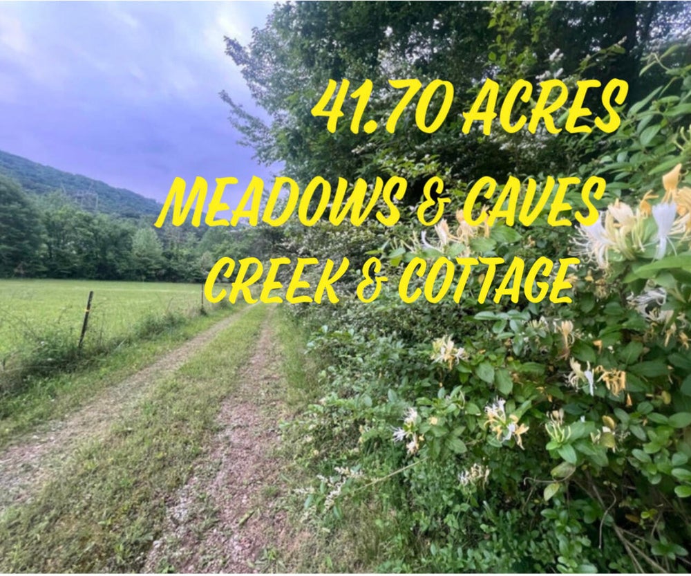 11434 County Rd 91, Bryant, AL 35958 BHGRE