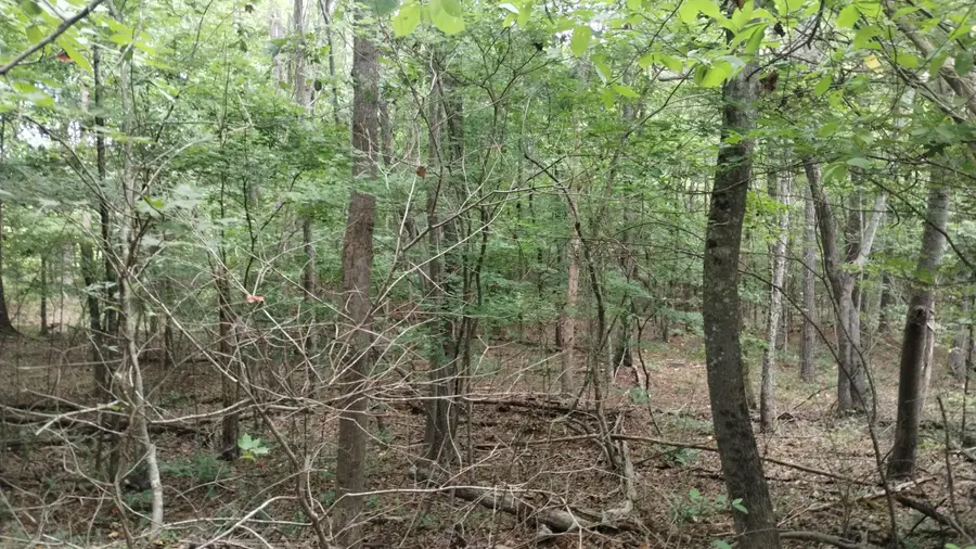 #2