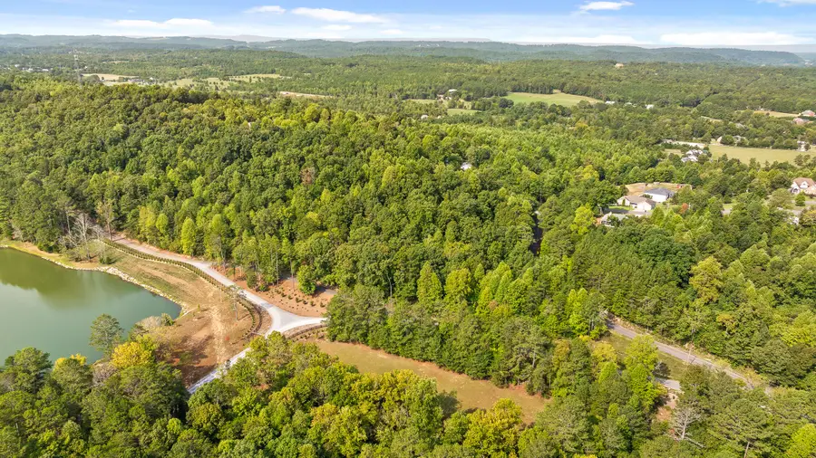 Tract 1 Blair Road, McDonald, TN 37353 - Image #2