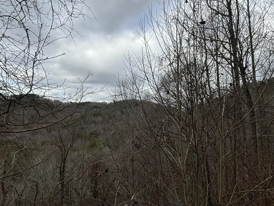 299 Sassafras Ridge Road, Turtletown, TN 37391 - Image #3