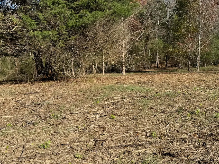 0 Sugar Tree Trail, Birchwood, TN 37308 - Image #2