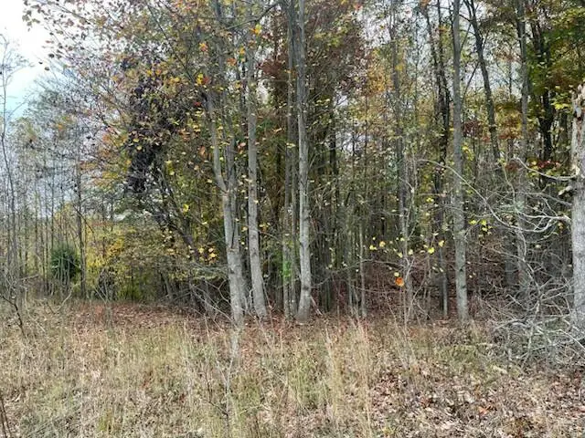 #3