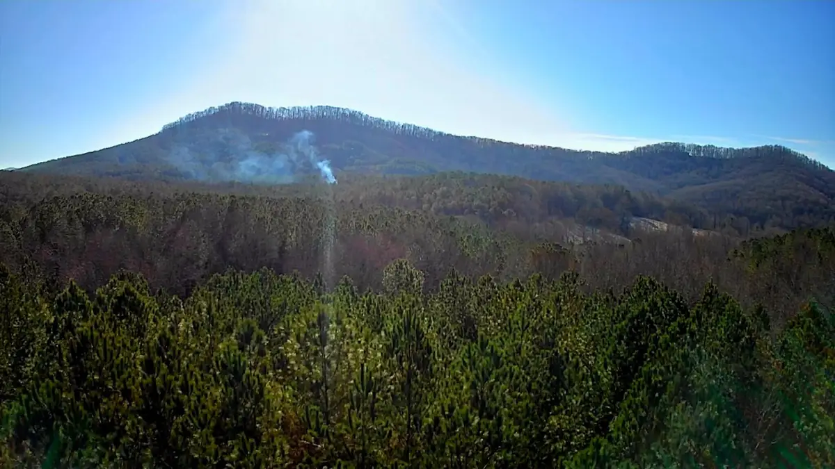 0 Black Bear Ridge Road, Ellijay, GA 30536 - Image #1