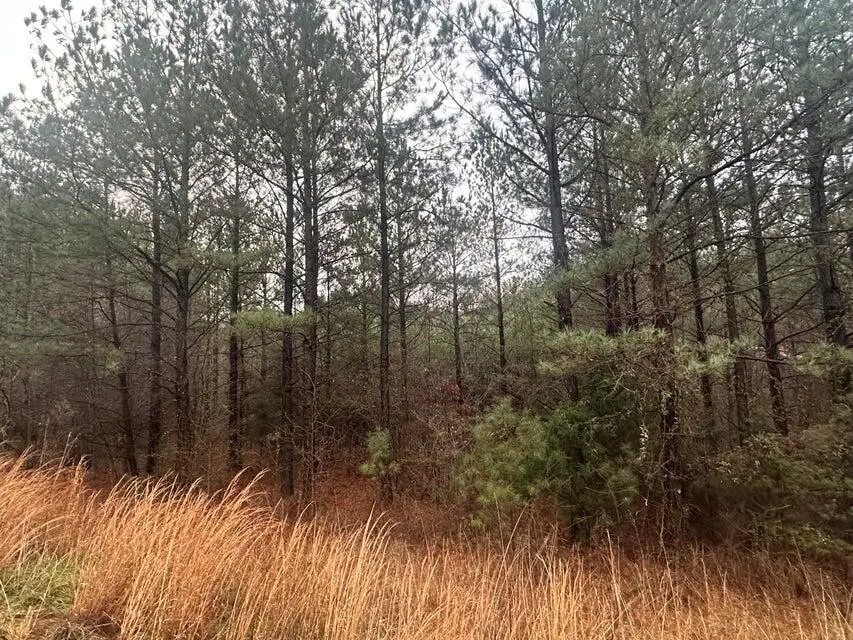 160 Mountain View Circle, Ocoee, TN 37361 - Image #1