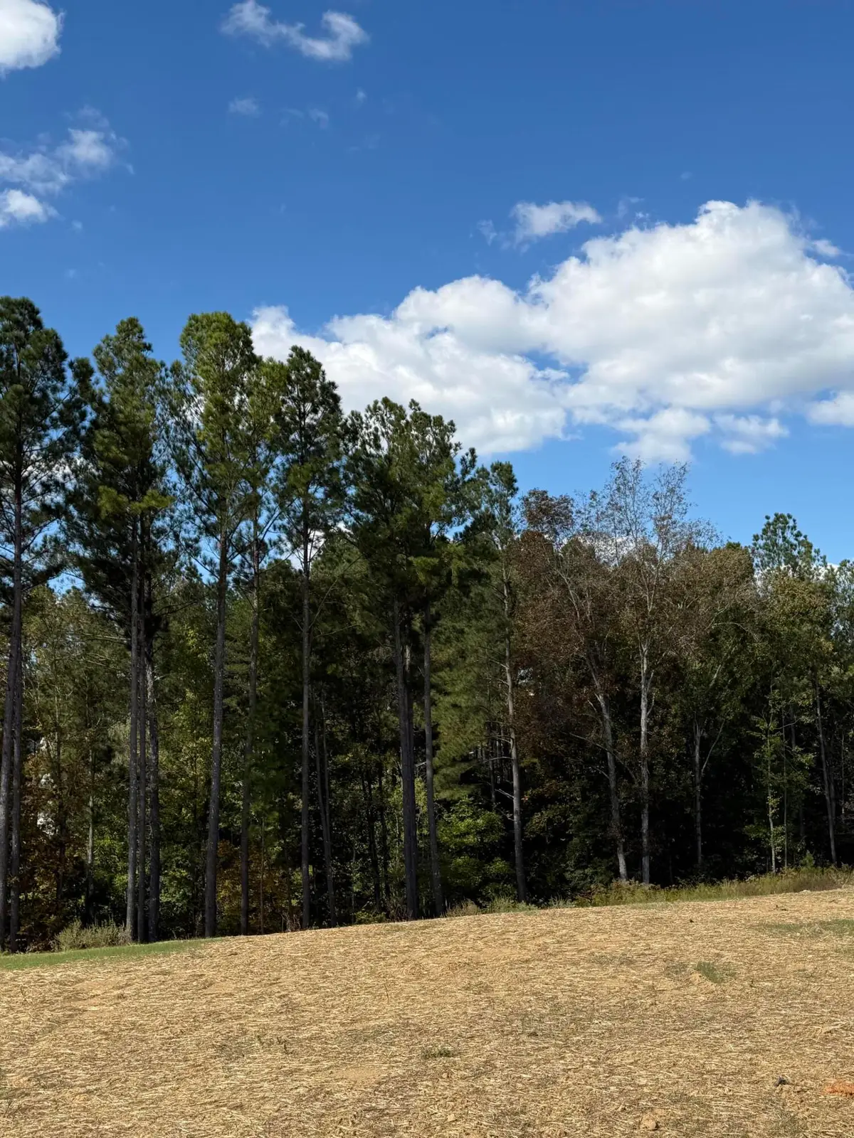 Lot 5 Creekwood, Cleveland, TN 37312 - Image #1