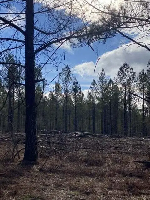 Lot 3 Thomas Springs Road #Lot 3, Crossville, TN 38572