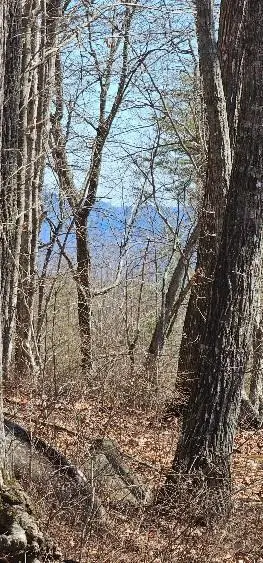 #3