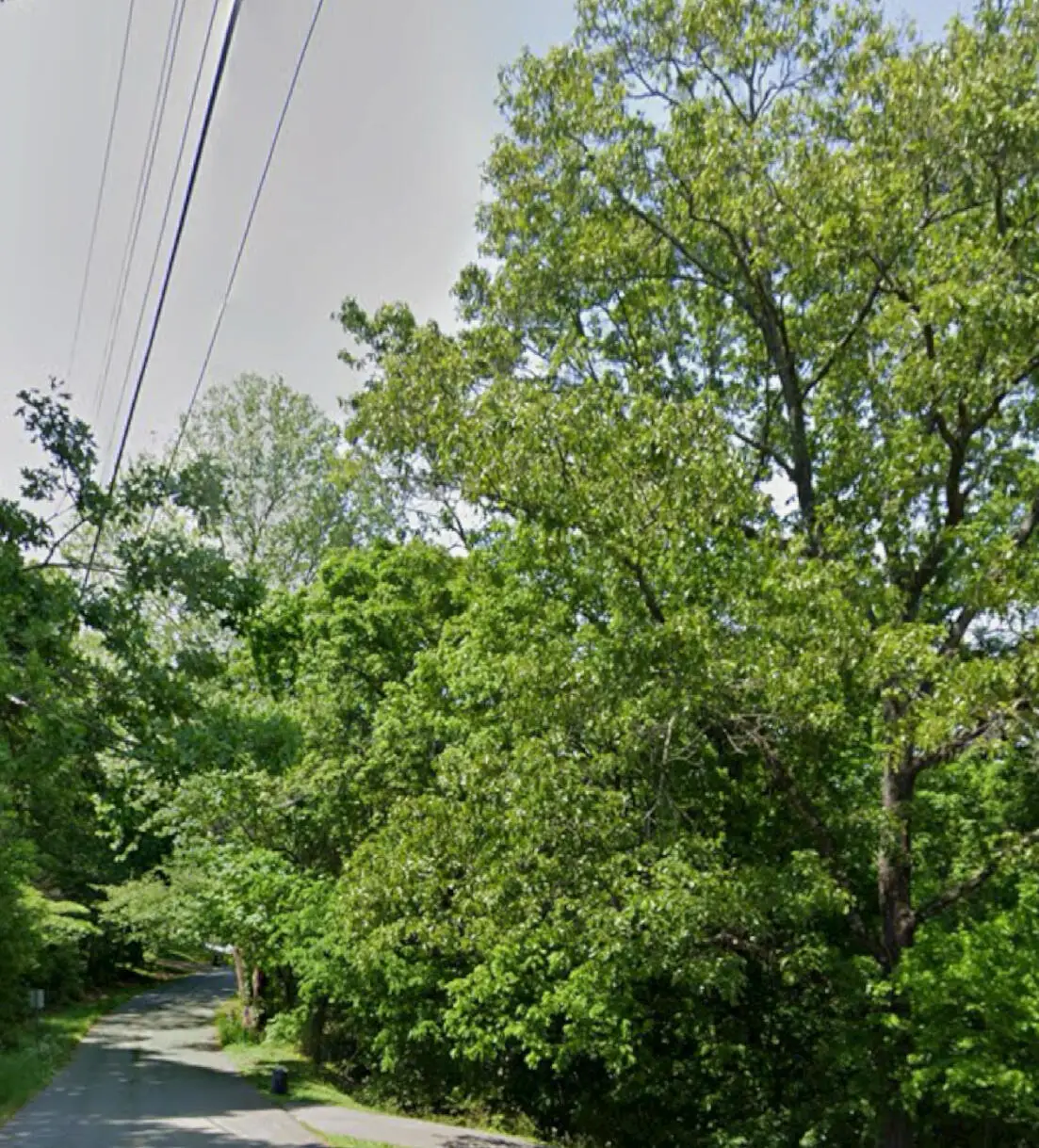 0 Tinkerbell Circle #Lot 27, Flintstone, GA 30725 - #1