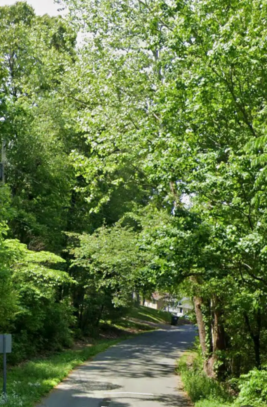 0 Tinkerbell Circle #Lot 27, Flintstone, GA 30725 - #2