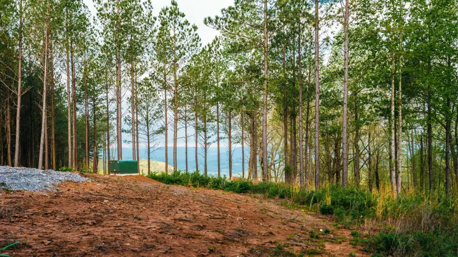 1147 Topo Drive, Guild, TN 37340 - Image #3