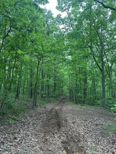#3