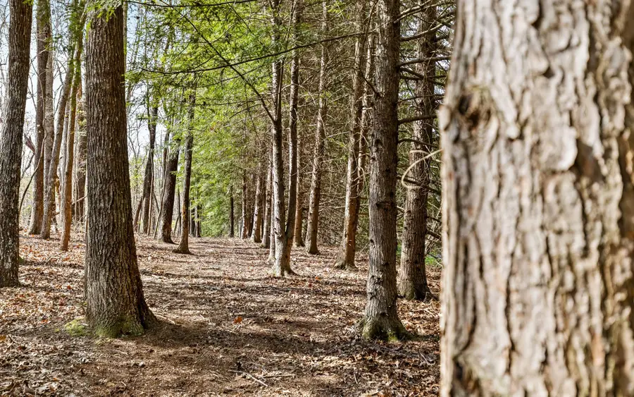 2593 Boston Branch Circle, Signal Mountain, TN 37377 - #2