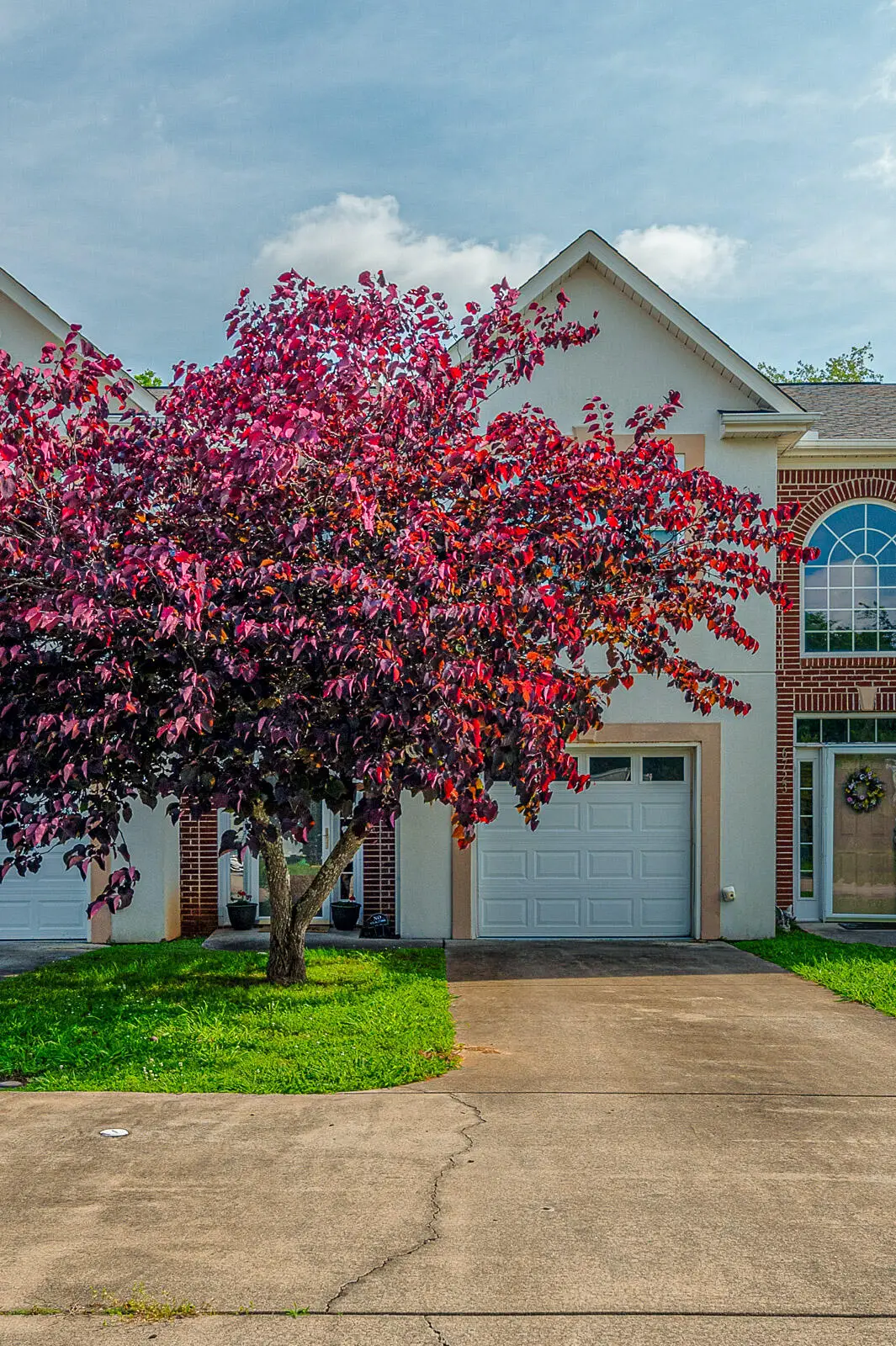 6721 Brianna Way, Chattanooga, TN 37421 - Image #1