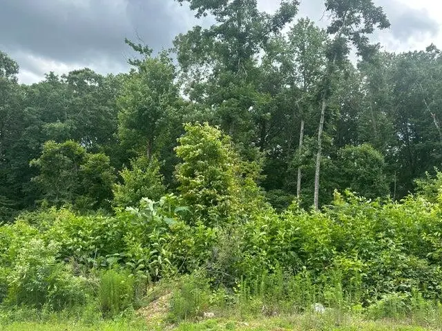 129 County Road #155, Riceville, TN 37370 - Image #1