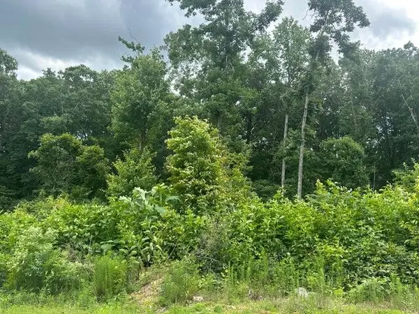 129 County Road #155, Riceville, TN 37370