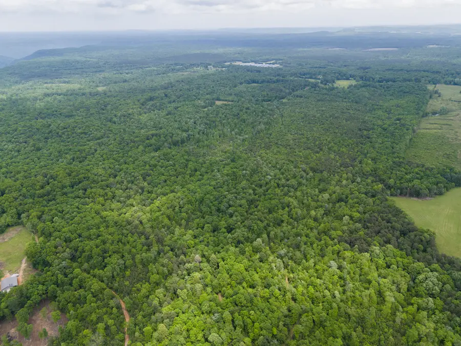 2361 Colony Road, Gruetli Laager, TN 37339 - Image #3